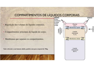 • Regulação dos volumes de líquidos corporais;
• Compartimentos principais de líquido do corpo;
• Membranas que separam os compartimentos.
Valor referente a um homem adulto, padrão com peso corporal de 70kg.
COMPARTIMENTOS DE LÍQUIDOS CORPORAIS
 