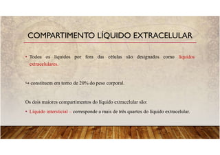 • Todos os líquidos por fora das células são designados como líquidos
extracelulares.
constituem em torno de 20% do peso corporal.
Os dois maiores compartimentos do líquido extracelular são:
• Líquido intersticial – corresponde a mais de três quartos do líquido extracelular.
COMPARTIMENTO LÍQUIDO EXTRACELULAR
 