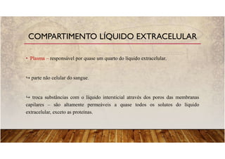 • Plasma – responsável por quase um quarto do líquido extracelular.
parte não celular do sangue.
troca substâncias com o líquido intersticial através dos poros das membranas
capilares – são altamente permeáveis a quase todos os solutos do líquido
extracelular, exceto as proteínas.
COMPARTIMENTO LÍQUIDO EXTRACELULAR
 