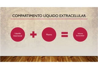 COMPARTIMENTO LÍQUIDO EXTRACELULAR
Líquido
Intersticial
Plasma
Volume
Extracelular
 
