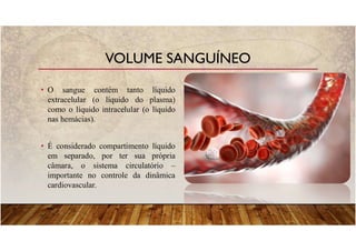 • O sangue contém tanto líquido
extracelular (o líquido do plasma)
como o líquido intracelular (o líquido
nas hemácias).
• É considerado compartimento líquido
em separado, por ter sua própria
câmara, o sistema circulatório –
importante no controle da dinâmica
cardiovascular.
VOLUME SANGUÍNEO
 