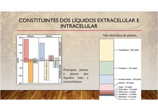 CONSTITUINTES DOS LÍQUIDOS EXTRACELULAR E
INTRACELULAR
Principais cátions
e ânions dos
líquidos intra e
extracelulares.
Não eletrólitos do plasma.
 