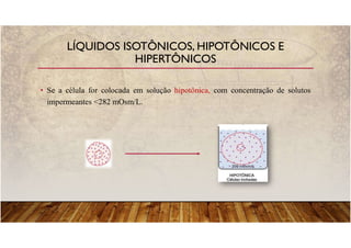 LÍQUIDOS ISOTÔNICOS, HIPOTÔNICOS E
HIPERTÔNICOS
• Se a célula for colocada em solução hipotônica, com concentração de solutos
impermeantes <282 mOsm/L.
 