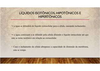 a água se difundirá do líquido extracelular para a célula, causando inchamento.
a água continuará a se difundir pela célula diluindo o líquido intracelular até que
este se torne isotônico em relação ao extracelular.
• Caso o inchamento da célula ultrapasse a capacidade de distensão da membrana,
esta se rompe.
LÍQUIDOS ISOTÔNICOS, HIPOTÔNICOS E
HIPERTÔNICOS
 