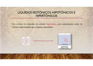 LÍQUIDOS ISOTÔNICOS, HIPOTÔNICOS E
HIPERTÔNICOS
• Se a célula for colocada em solução hipertônica, com concentração maior de
solutos impermeantes que o líquido intracelular.
 