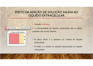 • Solução isotônica.
a osmolaridade do líquido extracelular não se altera,
portanto não ocorre osmose.
• O único efeito é o aumento no volume do líquido
extracelular.
• O sódio e o cloreto se mantêm basicamente no líquido
extracelular.
EFEITO DA ADIÇÃO DE SOLUÇÃO SALINA AO
LÍQUIDO EXTRACELULAR
 