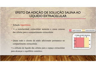 • Solução hipertônica.
• a osmolaridade extracelular aumenta e causa osmose
das células para o compartimento extracelular.
• Quase todo o cloreto de sódio adicionado permanece no
compartimento extracelular.
a difusão de líquido das células para o espaço extracelular
para alcançar o equilíbrio osmótico.
EFEITO DA ADIÇÃO DE SOLUÇÃO SALINA AO
LÍQUIDO EXTRACELULAR
 