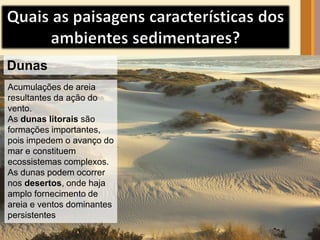 Dunas 
Acumulações de areia 
resultantes da ação do 
vento. 
As dunas litorais são 
formações importantes, 
pois impedem o avanço do 
mar e constituem 
ecossistemas complexos. 
As dunas podem ocorrer 
nos desertos, onde haja 
amplo fornecimento de 
areia e ventos dominantes 
persistentes 
 