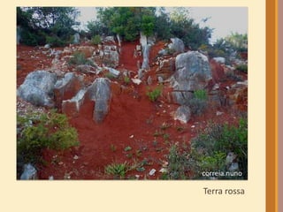 Terra rossa 
 