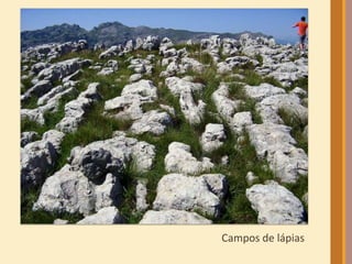 Campos de lápias 
 