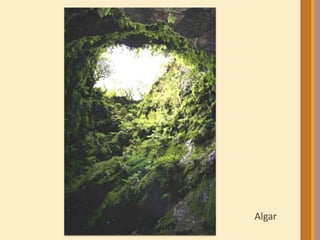 Algar 
 