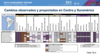 SIXTH ASSESSMENT REPORT
Working Group I – The Physical Science Basis
Cambios observados y proyectados en Centro y Suraméri...