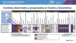 SIXTH ASSESSMENT REPORT
Working Group I – The Physical Science Basis
Cambios observados y proyectados en Centro y Suraméri...