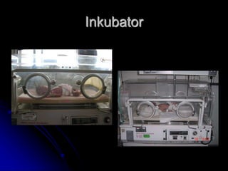 Inkubator
 