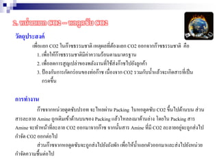 2. หน่วยแยก CO2 -- หอดูดซับ CO2
วัตถุประสงค์
เพื่อแยก CO2 ในก๊าซธรรมชาติ เหตุผลที่ต้องแยก CO2 ออกจากก๊าซธรรมชาติ คือ
1. เพื่อให้ก๊าซธรรมชาติมีค่าความร้อนตามมาตรฐาน
2. เพื่อลดการสูญเปล่าของพลังงานที่ใช้ส่งก๊าซไปยังลูกค้า
3. ป้องกันการกัดกร่อนของท่อก๊าซ เนื่องจาก CO2 รวมกับน้าแล้วจะเกิดสารที่เป็น
กรดขึ้น
การทางาน
ก๊าซจากหน่วยดูดซับปรอท จะไหลผ่าน Packing ในหอดูดซับ CO2 ขึ้นไปด้านบน ส่วน
สารละลาย Amine ถูกเติมเข้าด้านบนของ Packing แล้วไหลลงมาด้านล่าง โดยใน Packing สาร
Amine จะทาหน้าที่ละลาย CO2 ออกมาจากก๊าซ จากนั้นสาร Amine ที่มี CO2 ละลายอยู่จะถูกส่งไป
กาจัด CO2 ออกต่อไป
ส่วนก๊าซจากหอดูดซับจะถูกส่งไปยังถังพัก เพื่อให้น้าแยกตัวออกมาและส่งไปยังหน่วย
กาจัดความชื้นต่อไป
 