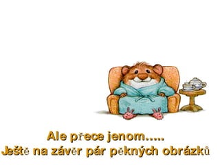 Ale přece jenom….. Ještě na závěr pár pěkných obrázků 