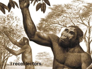 ... i recol lectors.·
 