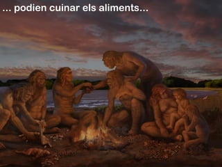 ... podien cuinar els aliments...
 