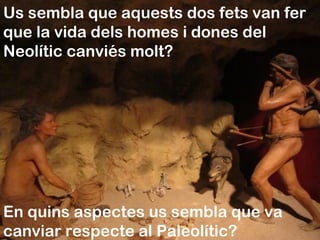 Us sembla que aquests dos fets van fer
que la vida dels homes i dones del
Neolític canviés molt?
En quins aspectes us sembla que va
canviar respecte al Paleolític?
 