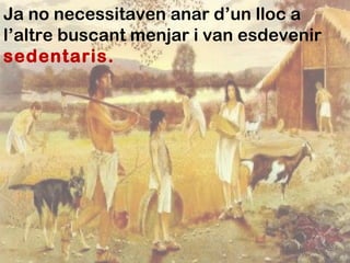 Ja no necessitaven anar d’un lloc a
l’altre buscant menjar i van esdevenir
sedentaris.
 