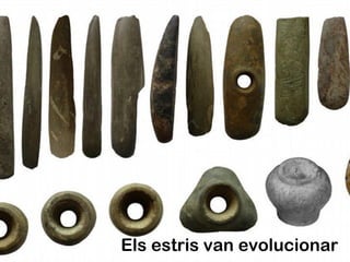 Els estris van evolucionar
 