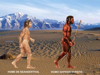 HOME DE NEANDERTHAL HOMO SAPIENS SAPIENS
 