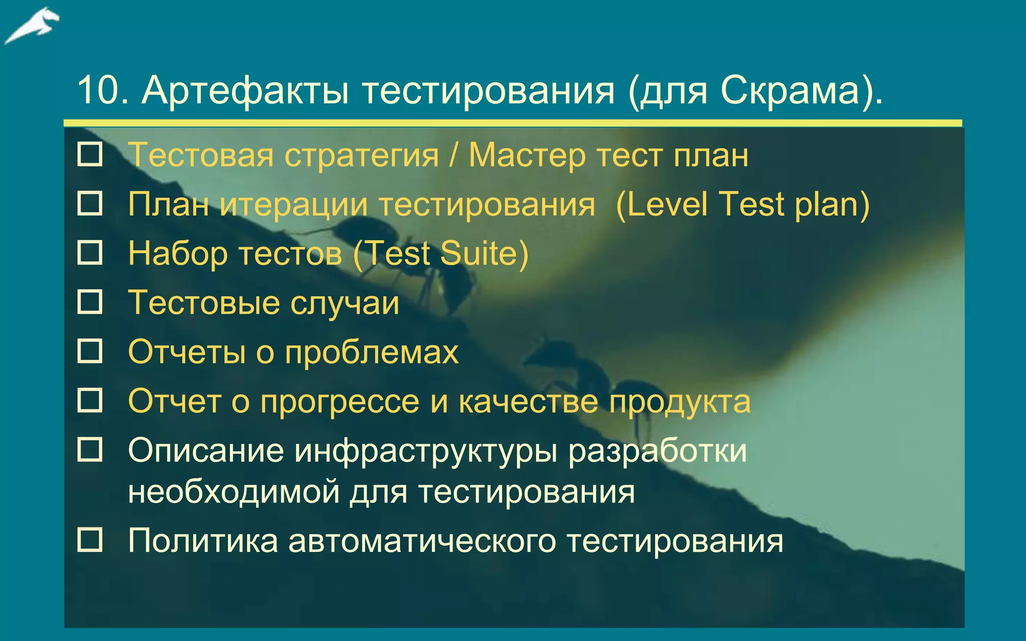Slide 17
