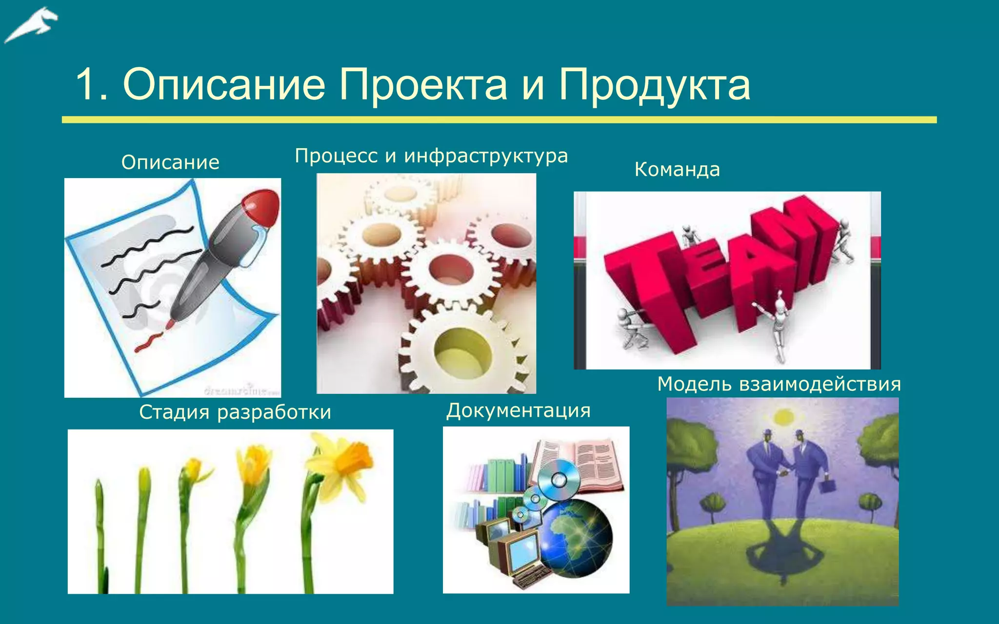 Slide 7