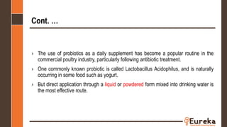 Cont. …
› The use of probiotics as a daily supplement has become a popular routine in the
commercial poultry industry, particularly following antibiotic treatment.
› One commonly known probiotic is called Lactobacillus Acidophilus, and is naturally
occurring in some food such as yogurt.
› But direct application through a liquid or powdered form mixed into drinking water is
the most effective route.
 