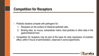 Competition for Receptors
› Probiotic bacteria compete with pathogens for:
1. Receptors on the surface of intestinal epithelial cells.
2. Binding sites, on mucus, extracellular matrix, food particles or other sites in the
gastrointestinal tract.
› Competition for receptors may be part of the basis for early expression of probiotic
effect, within 4 hours of administration, observed in some experiments.
 