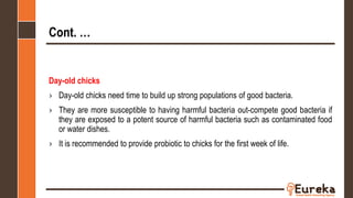 Cont. …
Day-old chicks
› Day-old chicks need time to build up strong populations of good bacteria.
› They are more susceptible to having harmful bacteria out-compete good bacteria if
they are exposed to a potent source of harmful bacteria such as contaminated food
or water dishes.
› It is recommended to provide probiotic to chicks for the first week of life.
 
