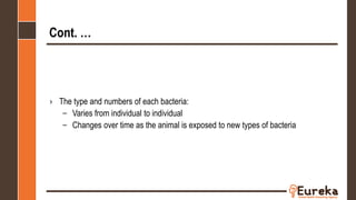 Cont. …
› The type and numbers of each bacteria:
– Varies from individual to individual
– Changes over time as the animal is exposed to new types of bacteria
 