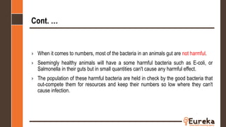 Cont. …
› When it comes to numbers, most of the bacteria in an animals gut are not harmful.
› Seemingly healthy animals will have a some harmful bacteria such as E-coli, or
Salmonella in their guts but in small quantities can't cause any harmful effect.
› The population of these harmful bacteria are held in check by the good bacteria that
out-compete them for resources and keep their numbers so low where they can't
cause infection.
 