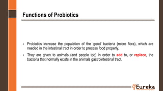 Functions of Probiotics
› Probiotics increase the population of the ‘good’ bacteria (micro flora), which are
needed in the intestinal tract in order to process food properly.
› They are given to animals (and people too) in order to add to, or replace, the
bacteria that normally exists in the animals gastrointestinal tract.
 
