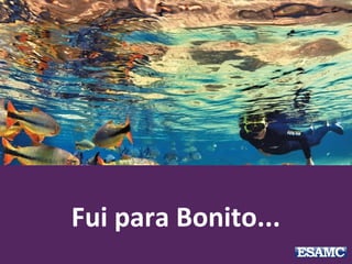 Fui para Bonito...
 