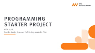 Programming Starter Project WiSe 25/26: Python Data Analysis and AI ...