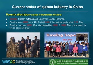  Tianzhu Tibetan Autonomous County of Gansu Province
 Planting area 2200 ha in 2018, yield 2.25 t/ ha, quinoa grain price 1.14 $/kg
 Planting income 2570 $/ha (increased by 1400 & 1680 $/ha, compared to
broad bean & barely)
Poverty alleviation- a case in Northwest of China
May, 2018
Current status of quinoa industry in China
 