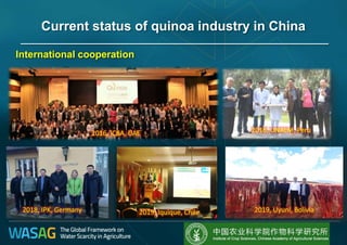 2019, Iquique, Chile 2019, Uyuni, Bolivia
International cooperation
Current status of quinoa industry in China
2016, ICBA, UAE
2018, IPK, Germany
2016, UNALM, Peru
 