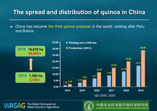 The spread and distribution of quinoa in China
2019: 16,670 ha
28,800 t
2014: 1,300 ha
2,100 t
(QC-CSSC, 2020)
 China has become the third quinoa producer in the world, ranking after Peru
and Bolivia
 