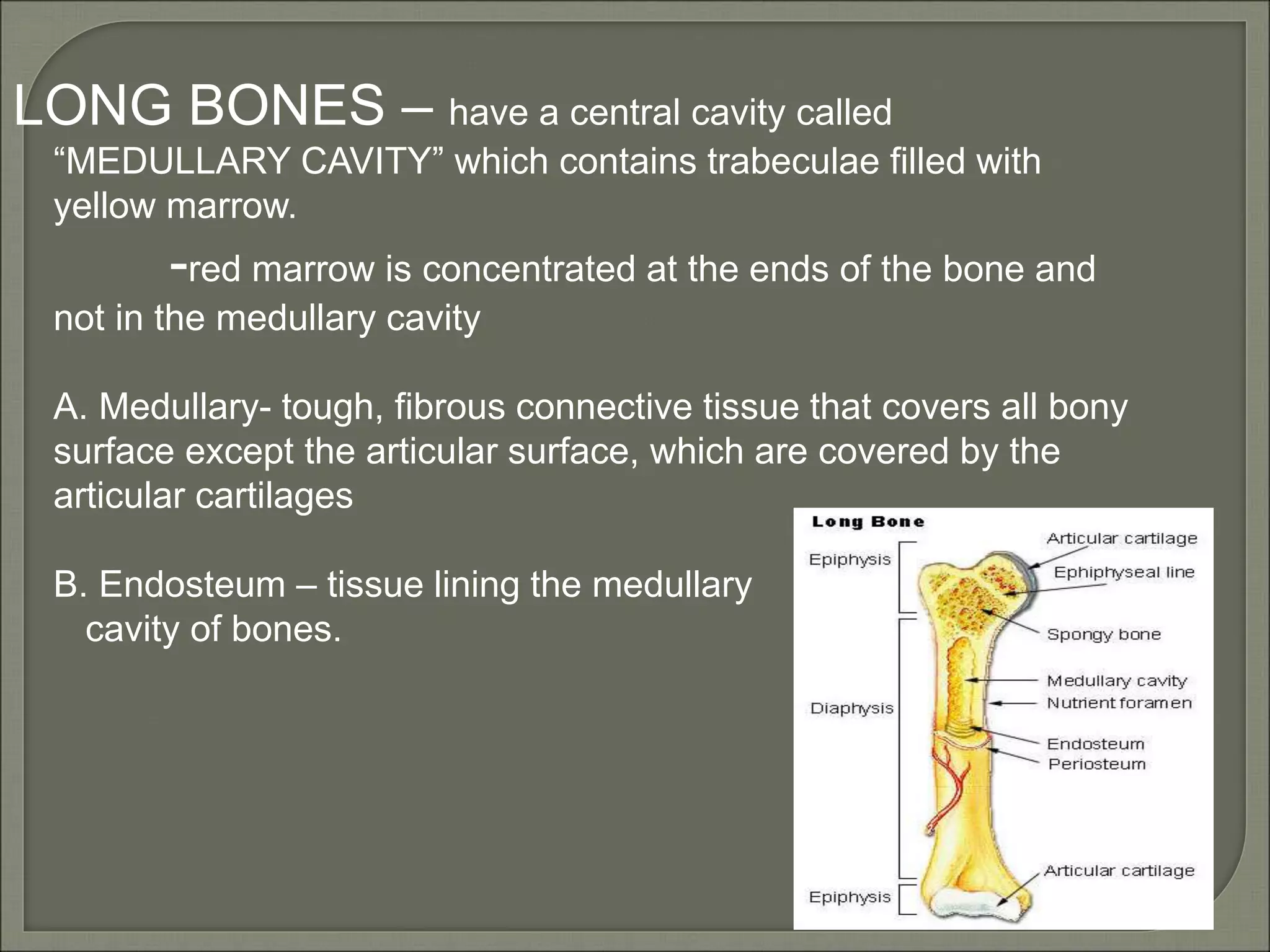 01 radiographic-positioning | PPT
