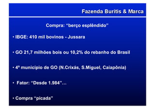 Compra: “berço esplêndido”
• IBGE: 410 mil bovinos - Jussara
• GO 21,7 milhões bois ou 10,2% do rebanho do Brasil
• 4º município de GO (N.Crixás, S.Miguel, Caiapônia)
•  Fator: “Desde 1.984”…
• Compra “picada”
 