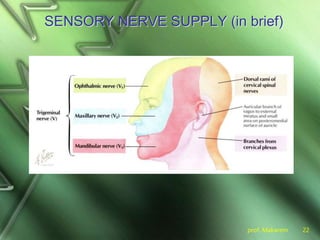 prof. Makarem 22
SENSORY NERVE SUPPLY (in brief)
 