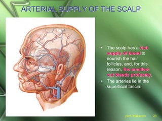 prof. Makarem 23
ARTERIAL SUPPLY OF THE SCALP
• The scalp has a rich
supply of blood to
nourish the hair
follicles, and, for this
reason, the smallest
cut bleeds profusely.
• The arteries lie in the
superficial fascia.
 