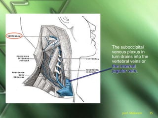 prof. Makarem 35
The suboccipital
venous plexus in
turn drains into the
vertebral veins or
the internal
jugular vein.
 