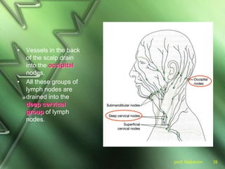 prof. Makarem 38
• Vessels in the back
of the scalp drain
into the occipital
nodes.
• All these groups of
lymph nodes are
drained into the
deep cervical
group of lymph
nodes.
 