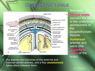 prof. Makarem 4
CONNECTIVE TISSUE
• the arteries are branches of the external and
internal carotid arteries, and a free anastomosis
takes place between them.
• fibro-fatty
• fibrous septa
connect the skin
to the underlying
aponeurosis of
the
occipitofrontalis
muscle.
• numerous
arteries and
veins (the
superficial
veins of the
scalp)
 