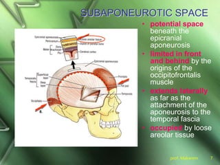 prof. Makarem 7
SUBAPONEUROTIC SPACE
• potential space
beneath the
epicranial
aponeurosis
• limited in front
and behind by the
origins of the
occipitofrontalis
muscle
• extends laterally
as far as the
attachment of the
aponeurosis to the
temporal fascia
• occupied by loose
areolar tissue
 
