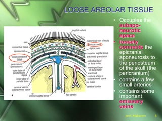 prof. Makarem 8
LOOSE AREOLAR TISSUE
• Occupies the
subapo-
neurotic
space
• loosely
connects the
epicranial
aponeurosis to
the periosteum
of the skull (the
pericranium)
• contains a few
small arteries
• contains some
important
emissary
veins
 