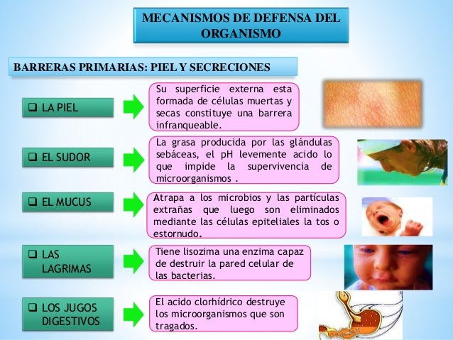 salud y enfermedad