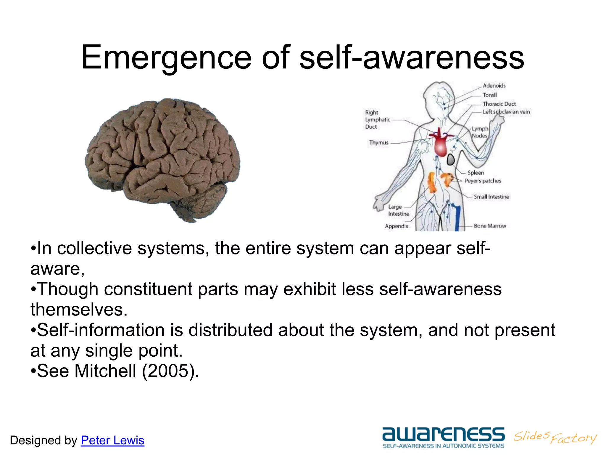 Designed by Peter Lewis
Emergence of self-awareness
•In collective systems, the entire system can appear self-
aware,
•Though constituent parts may exhibit less self-awareness
themselves.
•Self-information is distributed about the system, and not present
at any single point.
•See Mitchell (2005).
 